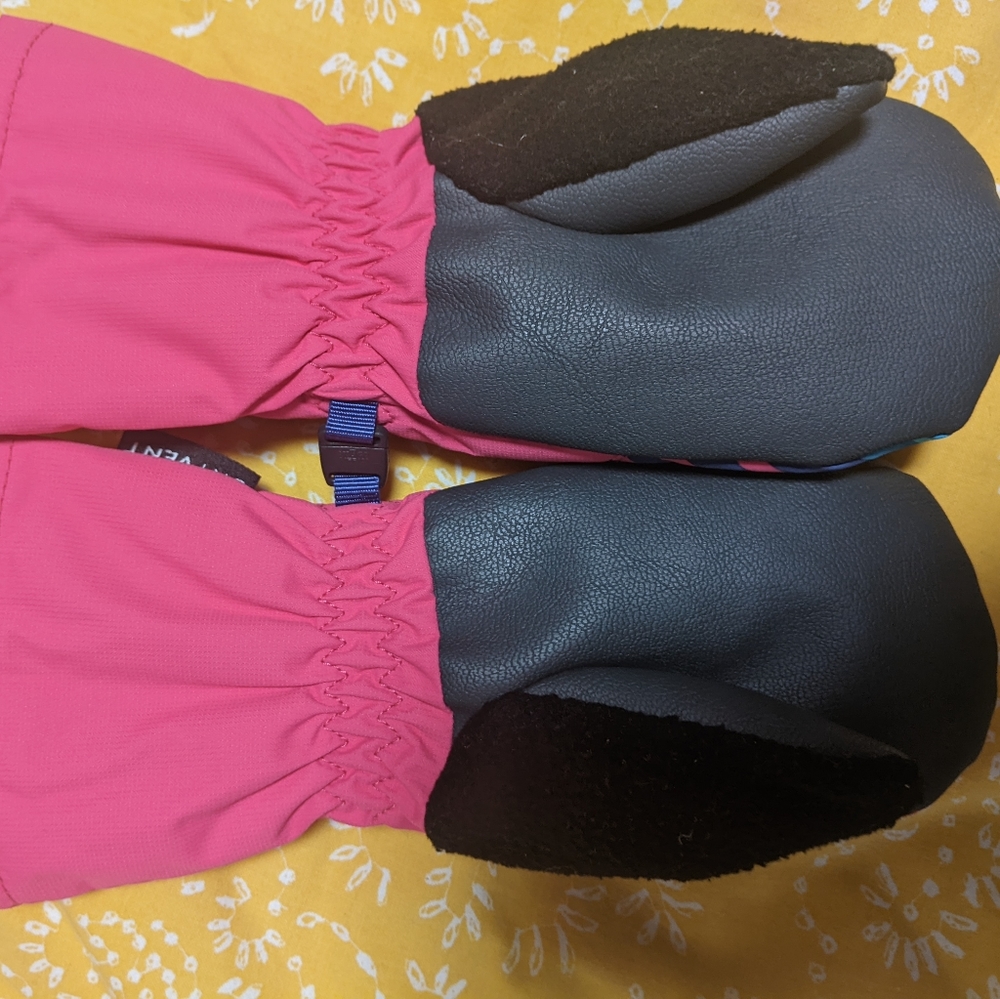 The North Face snow mittens